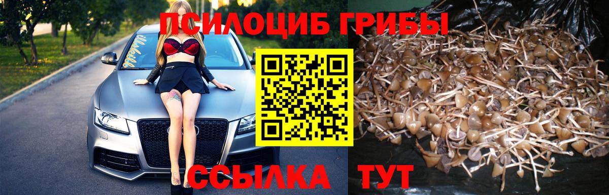 Галлюциногенные грибы Cubensis Воркута